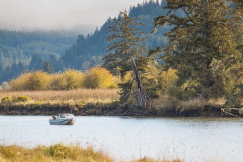 Waite Ranch Tidal Wetland Restoration Project