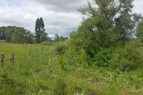 Hawley Creek Restoration Project