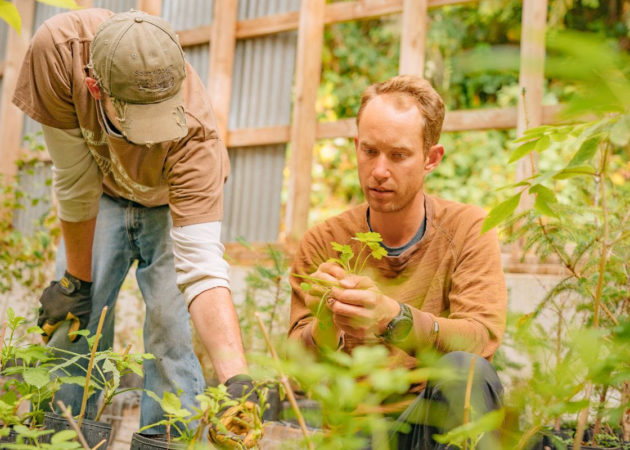 Native Plant Giveaway – 2nd Round