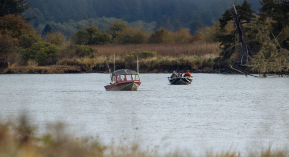 Stories of the Siuslaw