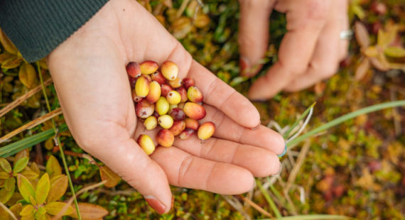 Small Scale Agriculture & Accessing a Rural Economy