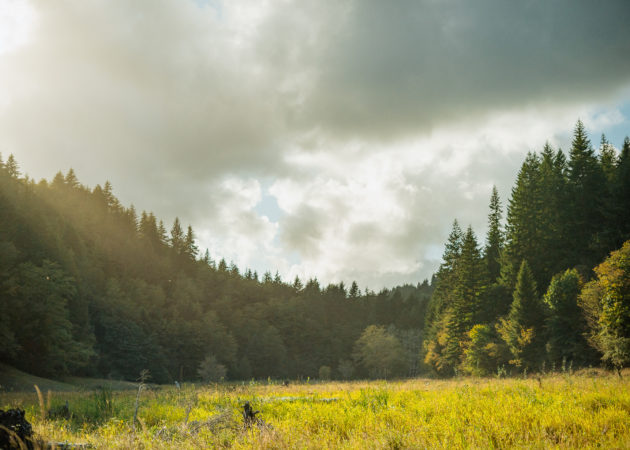 Earth Day 50th Anniversary and the Story of the Siuslaw