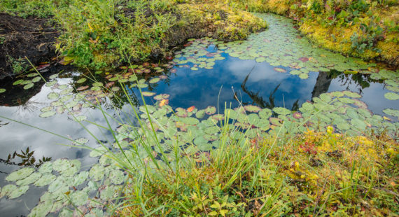 Fall Photo Contest!