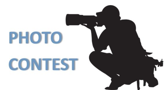 Spring Photo Contest: New Life