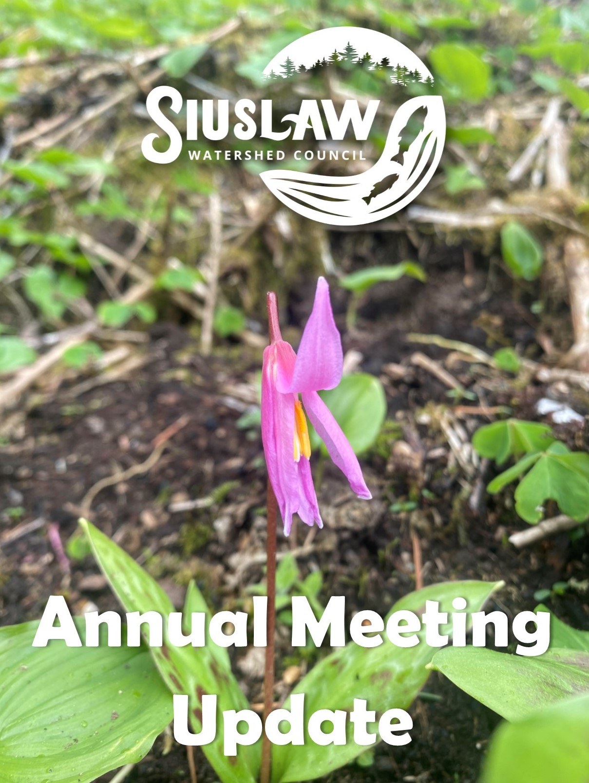 Annual Meeting Update Pic
