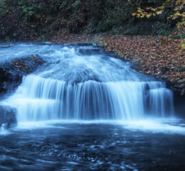 SWC’s October 2021 Watershed Gathering: October 27th, from 5:30-7:00 PM, on Zoom