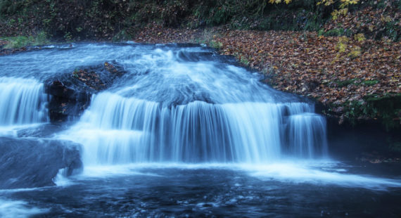 SWC’s October 2021 Watershed Gathering: October 27th, from 5:30-7:00 PM, on Zoom