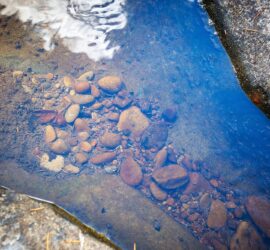 May 2022 Watershed Gathering