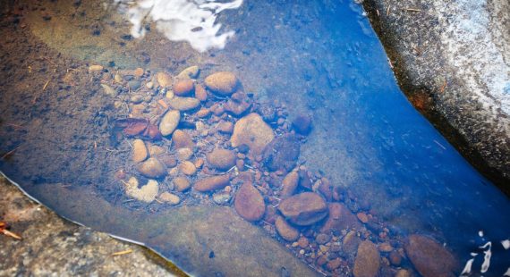 May 2022 Watershed Gathering