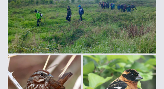 Birding at Waite Ranch