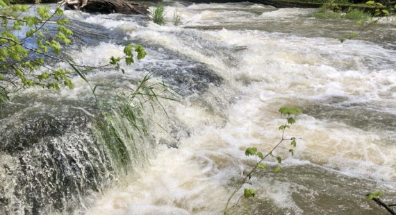 Siuslaw Falls Stream Cleanup
