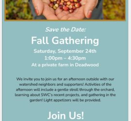 Fall Gathering