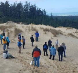 Invasive Species Removal & Dunes Walking Tour — RESCHEDULED FROM 3/04