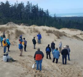 Invasive Species Removal & Dunes Walking Tour (RESCHEDULED FROM 3/04)