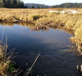 Stage Zero Floodplain Reconnection Seminar