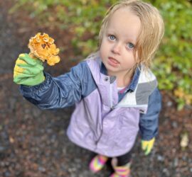 Mushroom Hunt & Culinary Demonstration — RESCHEDULED FROM 8/19